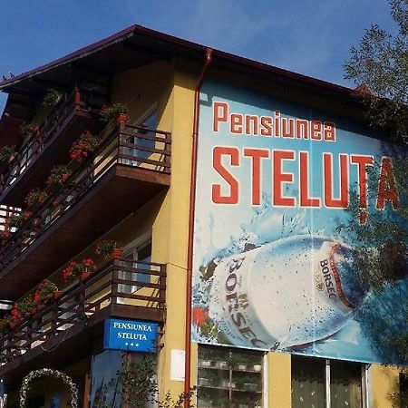 Pensiunea Steluta بْريدال المظهر الخارجي الصورة