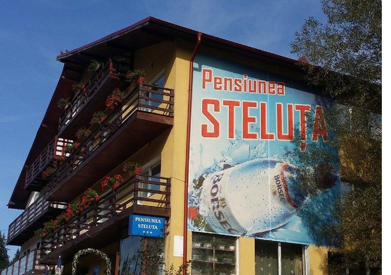 Pensiunea Steluta بْريدال المظهر الخارجي الصورة